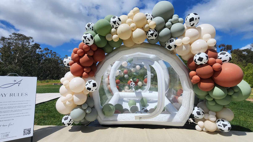 Farm Animal Theme Bubble House